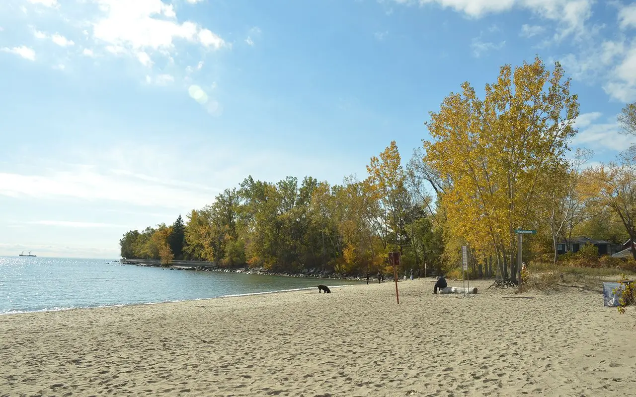 2026 5k and 1 Mile Combo