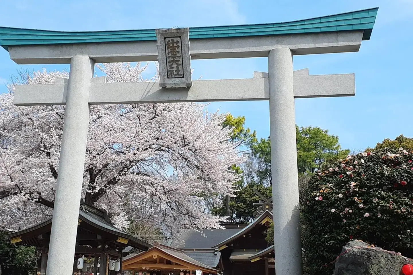 2026 5 km